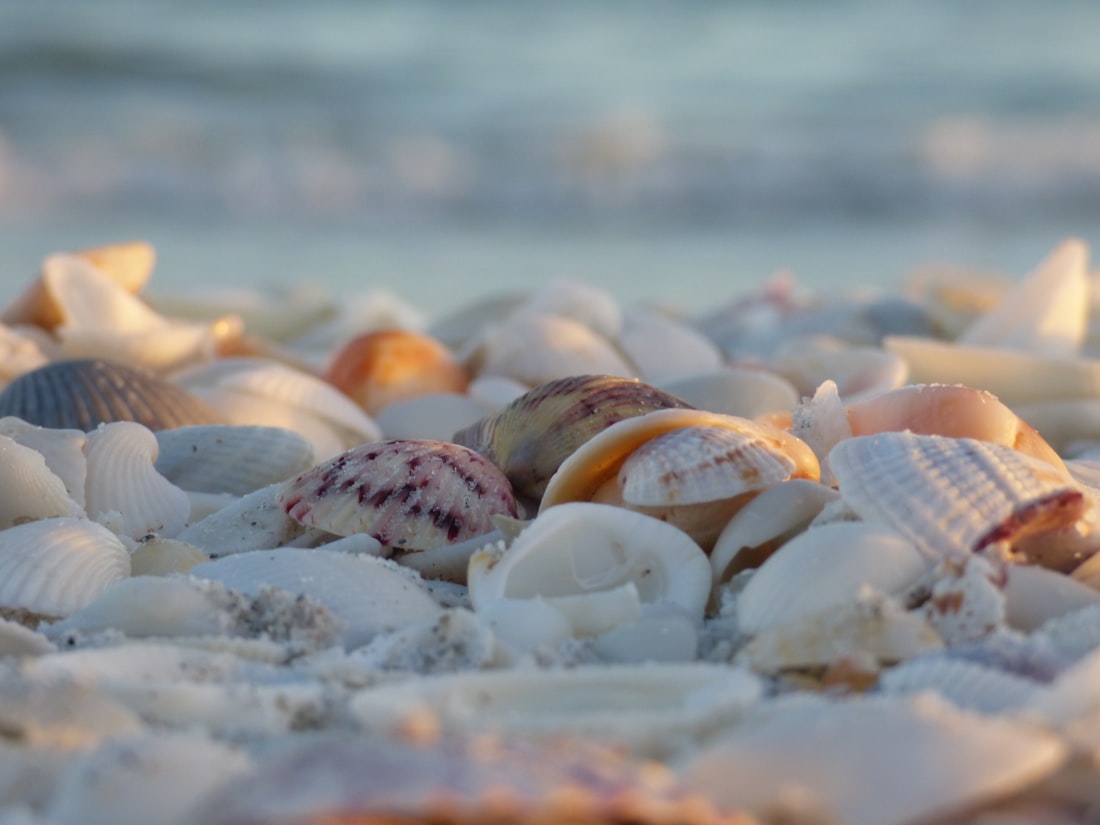 Sanibel Island