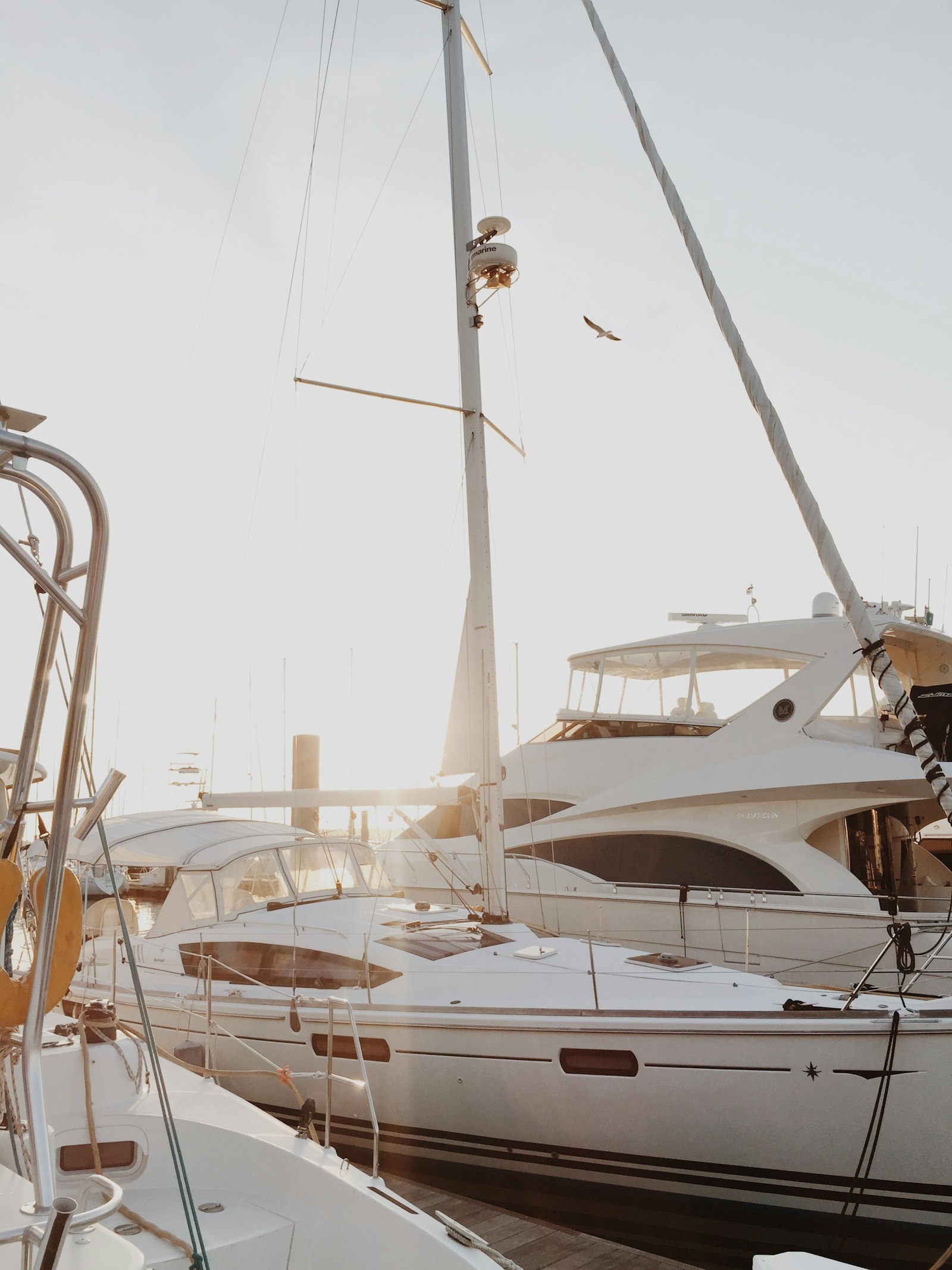 Boating & Waterfront
