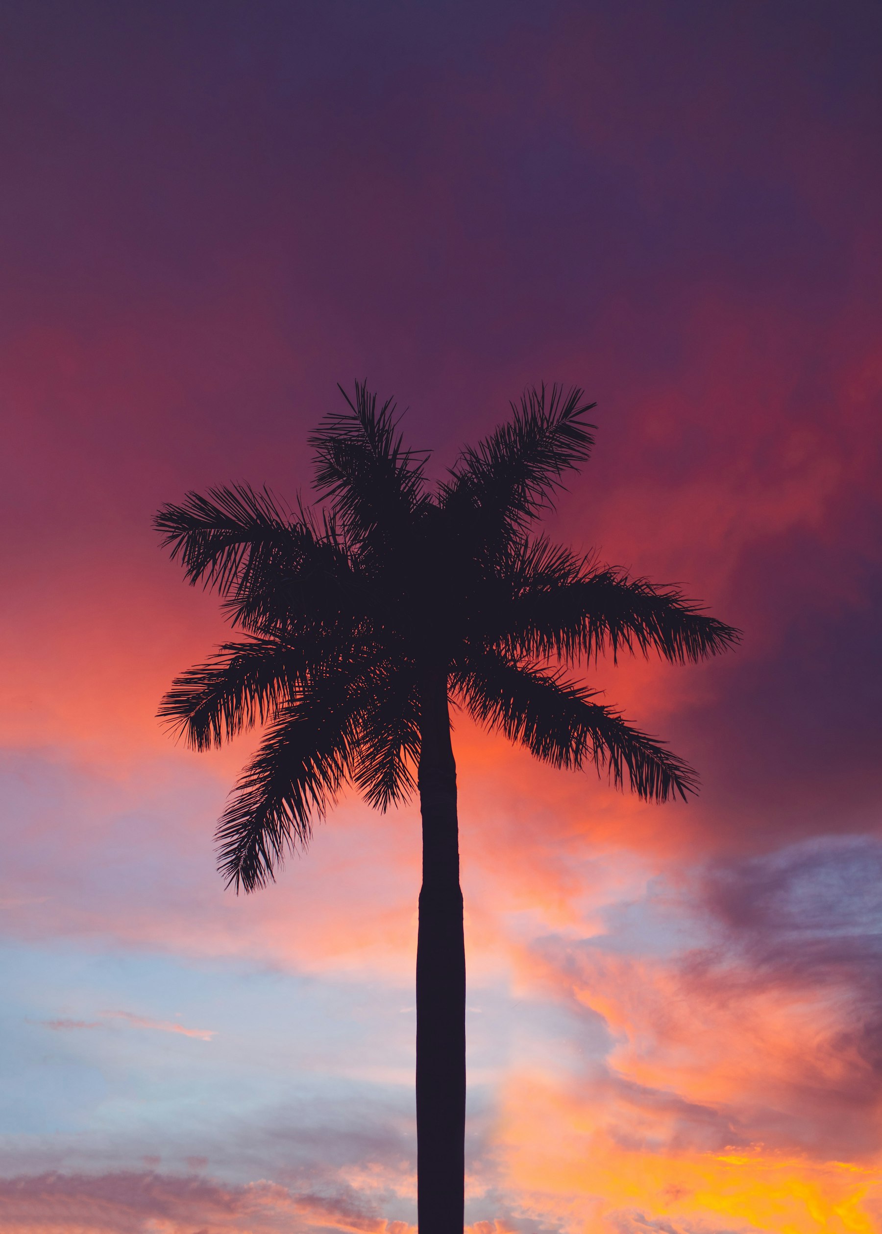 Living in Southwest Florida