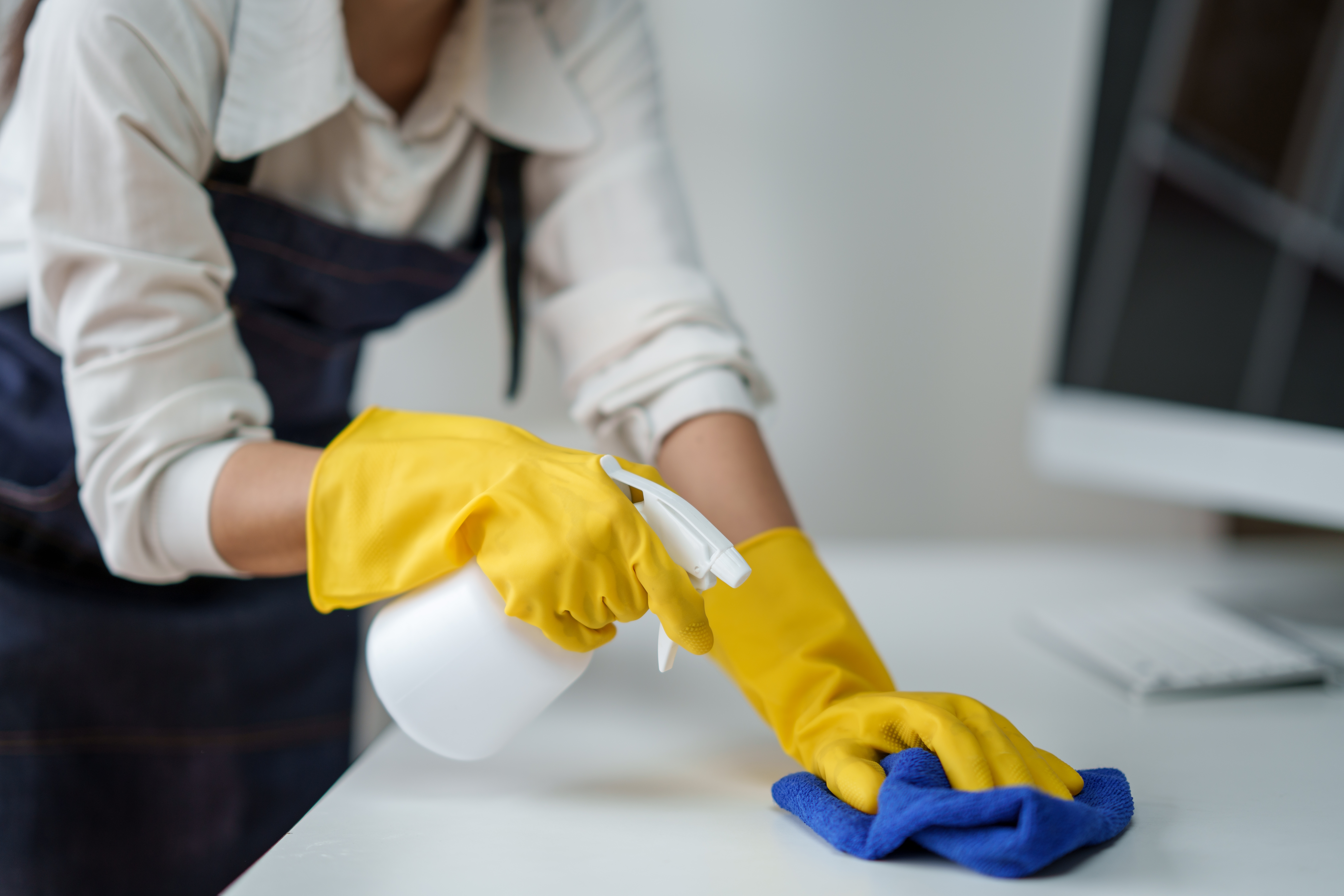 Recurring residential cleaning for a year-round Southwest Florida home